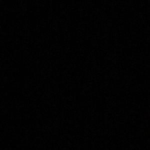 Meet your Posher, Yoyo